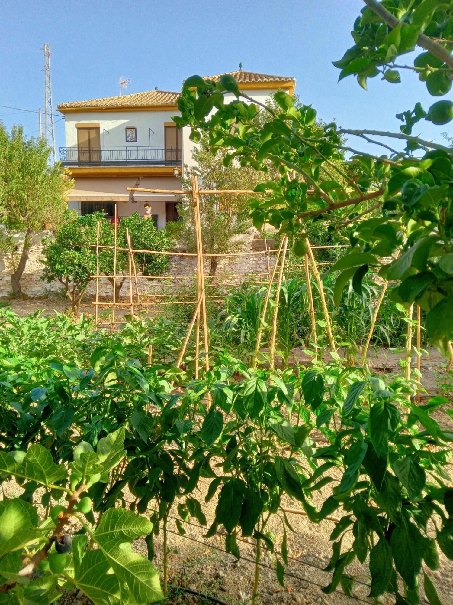 Tuguest Hortichuela House Villa Ugijar Bagian luar foto